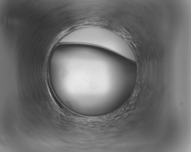 X0000073870003200608101119