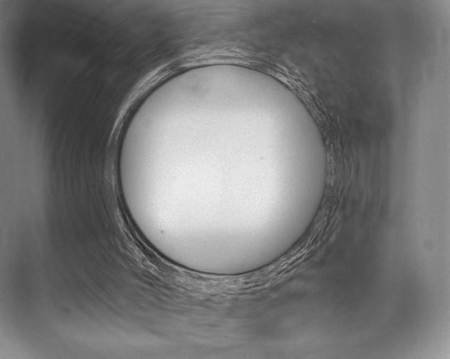 X0000073870004200608101119