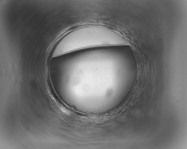 X0000073870005200608101119