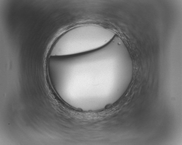 X0000073870006200608101119