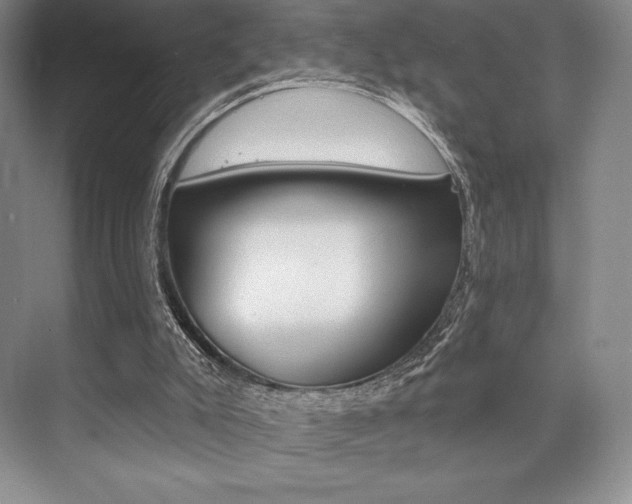 X0000073870007200608101119