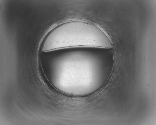 X0000073870008200608101119