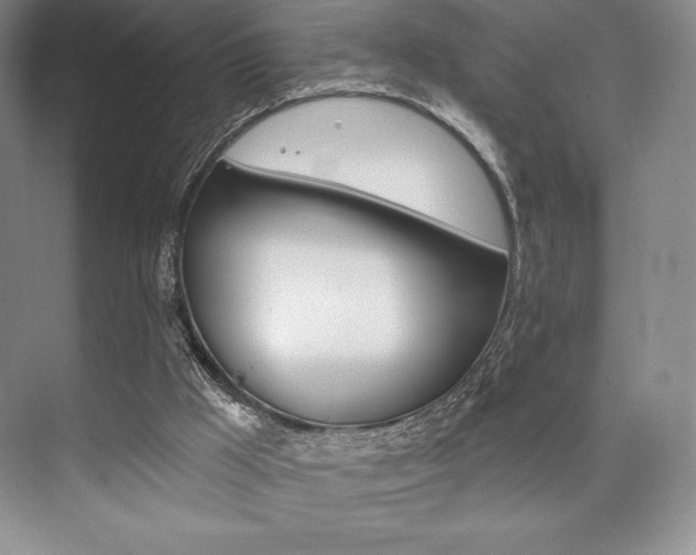 X0000073870009200608101119