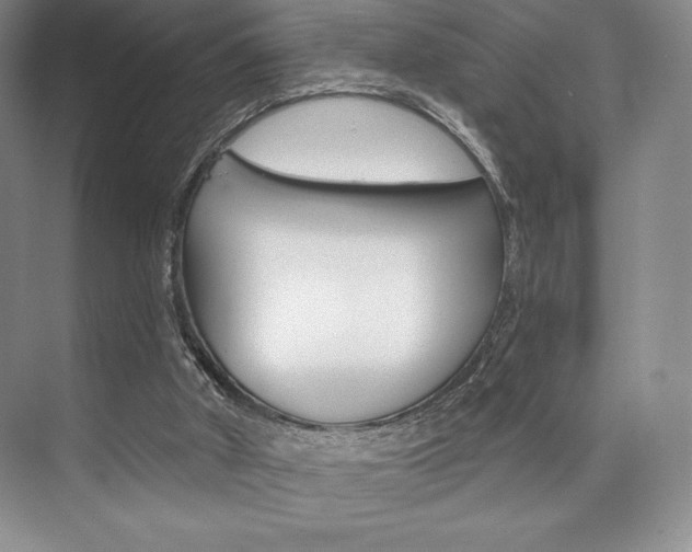 X0000073870010200608101119