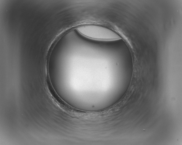 X0000073870011200608101119