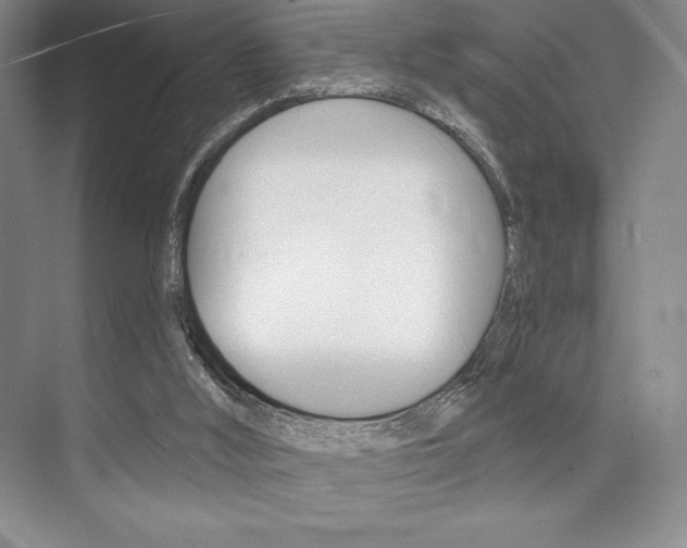 X0000073870012200608101119