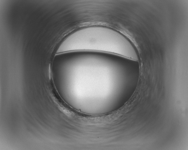 X0000073870013200608101119