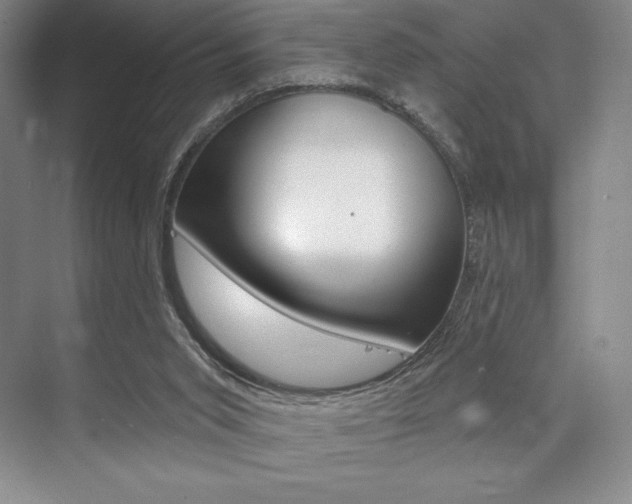 X0000073870015200608101119