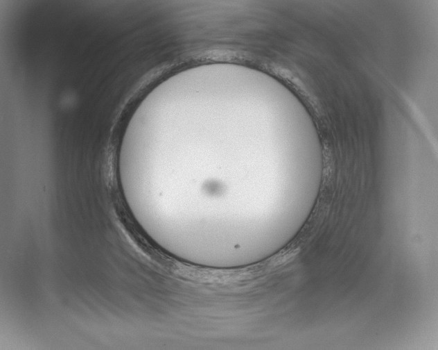 X0000073870016200608101119