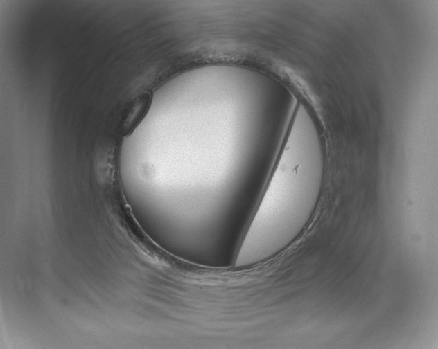 X0000073870017200608101119