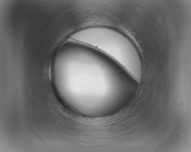 X0000073870019200608101119