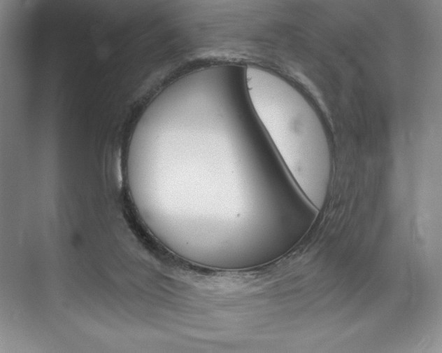 X0000073870020200608101119