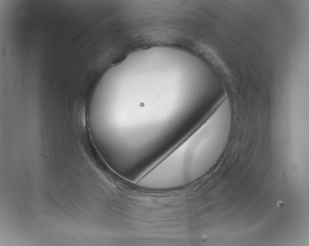 X0000073870021200608101119