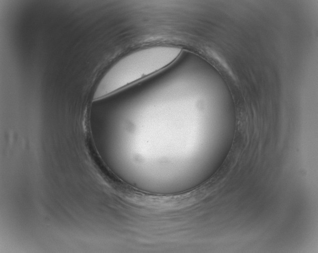 X0000073870023200608101119