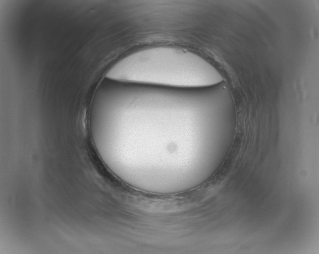 X0000073870024200608101119