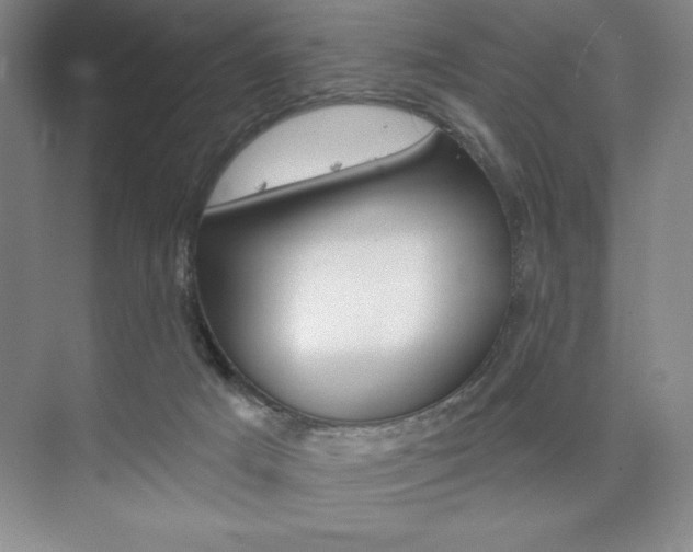 X0000073870025200608101119