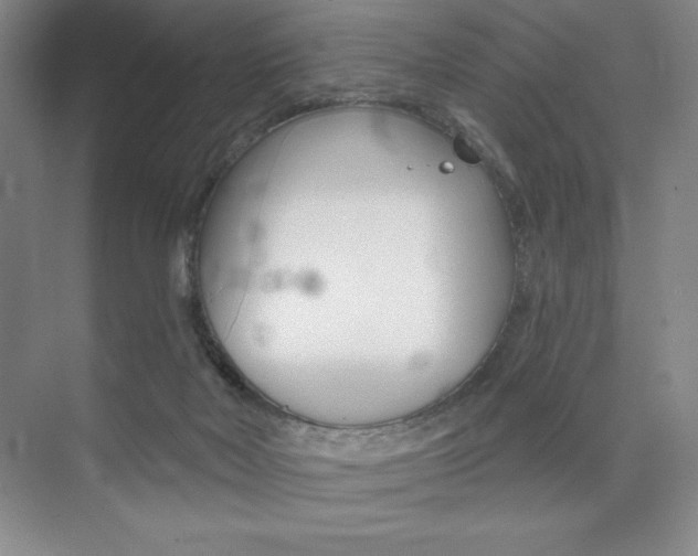 X0000073870026200608101119