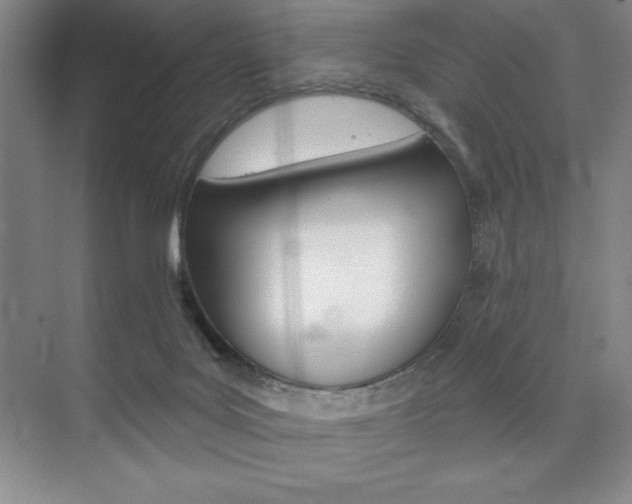 X0000073870027200608101118