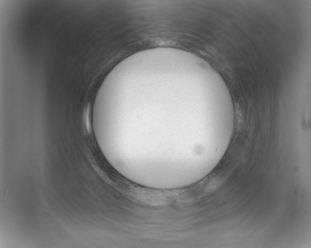 X0000073870028200608101118