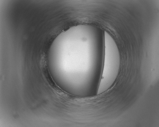 X0000073870029200608101118