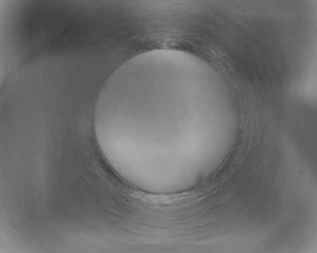 X0000073870030200608101118