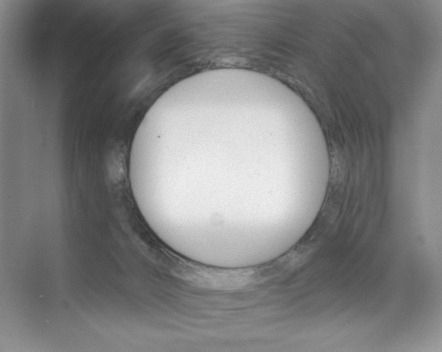 X0000073870032200608101118