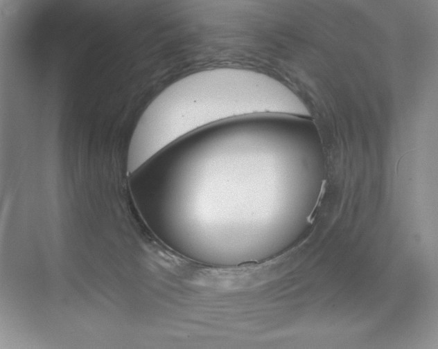 X0000073870033200608101118