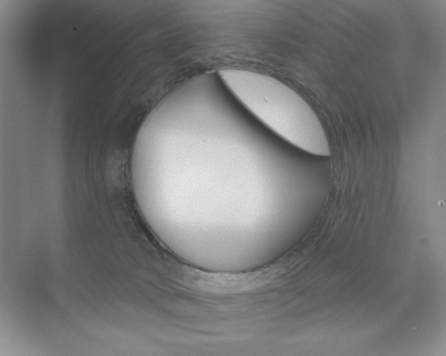 X0000073870034200608101118