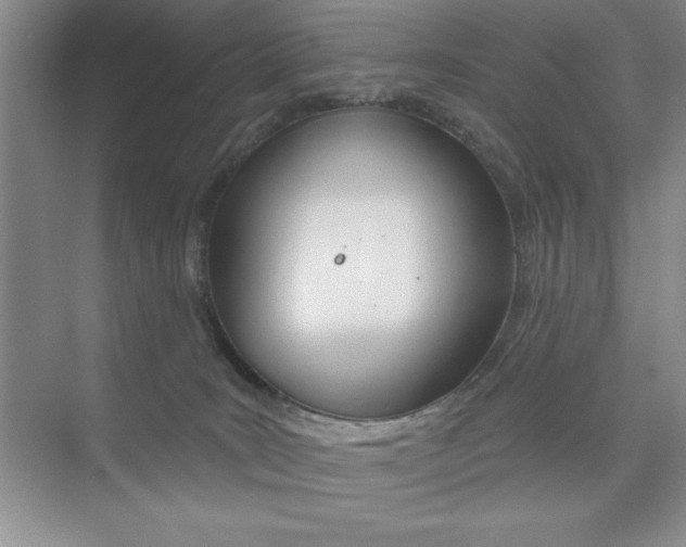 X0000073870035200608101118