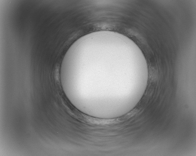 X0000073870036200608101118