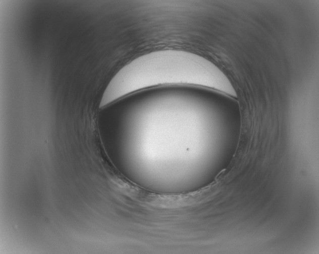 X0000073870037200608101118