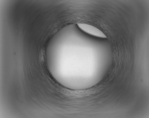 X0000073870038200608101118