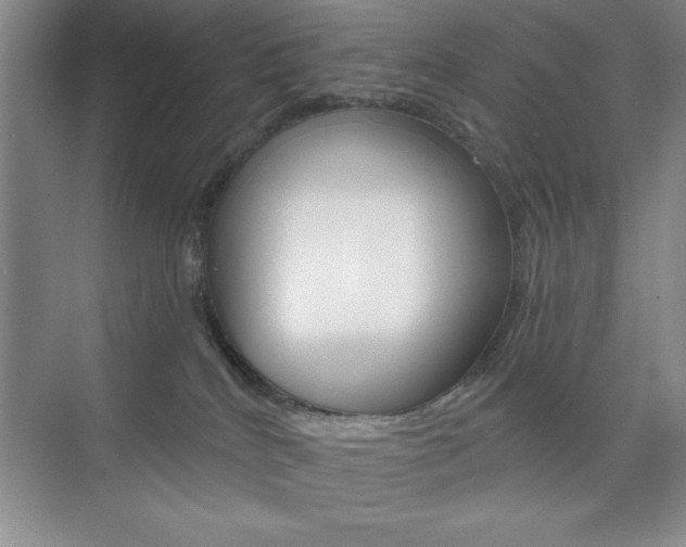 X0000073870040200608101118