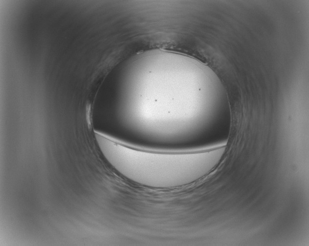 X0000073870041200608101118