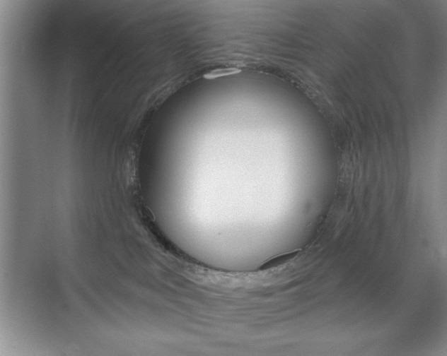 X0000073870043200608101118