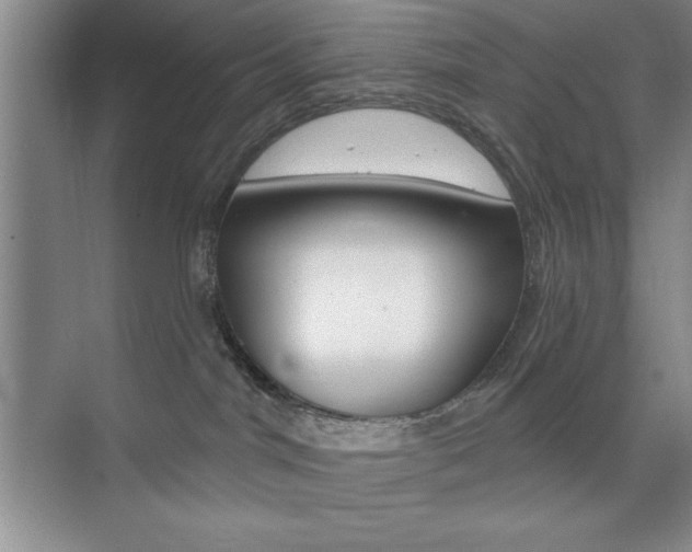 X0000073870044200608101118