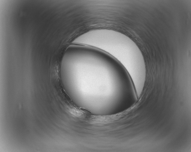 X0000073870045200608101118