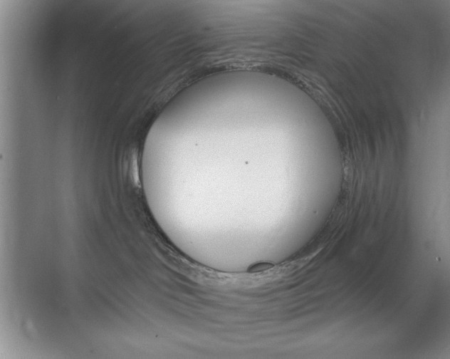 X0000073870046200608101118