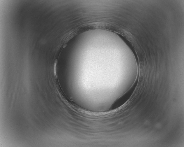 X0000073870047200608101118