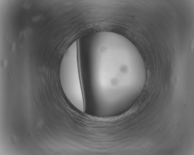 X0000073870048200608101118