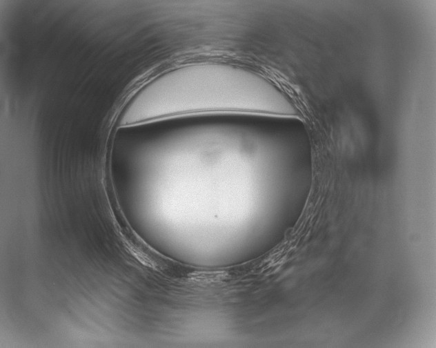 X0000073870051200608101117