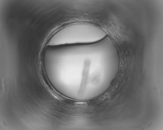 X0000073870053200608101117