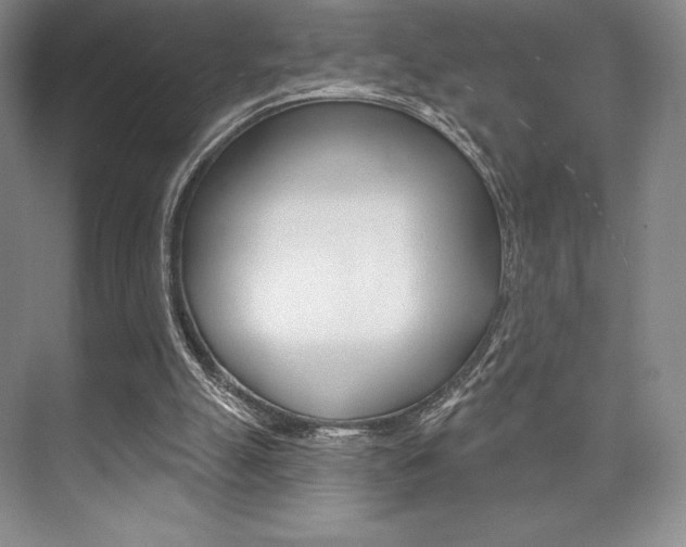 X0000073870055200608101117