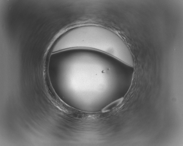 X0000073870056200608101117