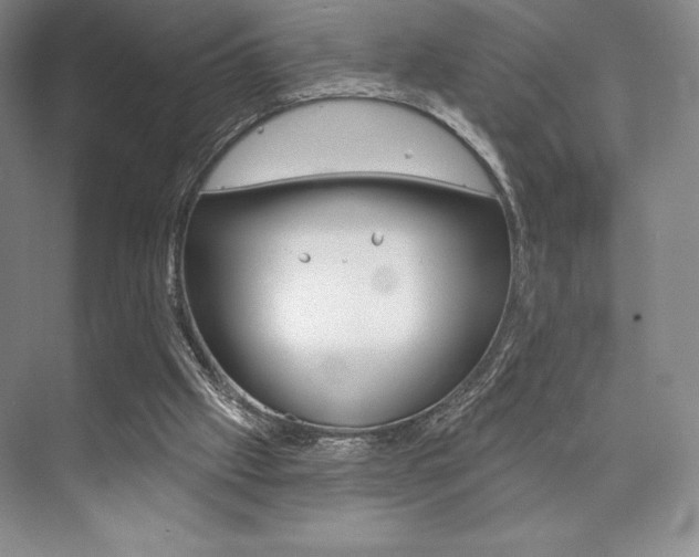 X0000073870057200608101117