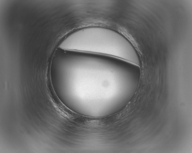 X0000073870058200608101117