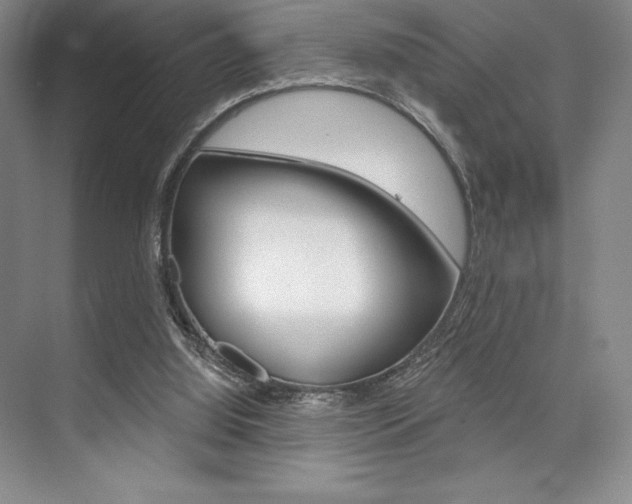 X0000073870060200608101118