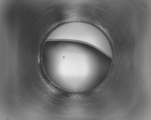 X0000073870062200608101118