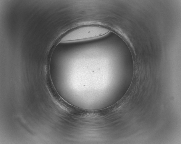 X0000073870063200608101118