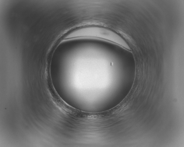 X0000073870064200608101118